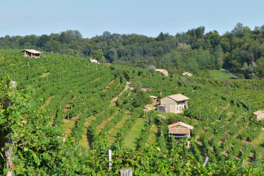 Agriturismo Crodi Miane Dış mekan fotoğraf